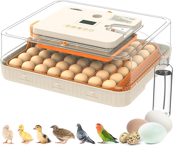 Incubator for Hatching Eggs, 56 Eggs Incubator with Automatic Egg Turning, Temperature & Humidity Control, LED Egg Candler, Incubation Days Display, for Chicken, Duck, Goose, Quail, Parrot Bird Eggs