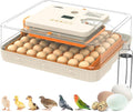 Incubator for Hatching Eggs, 56 Eggs Incubator with Automatic Egg Turning, Temperature & Humidity Control, LED Egg Candler, Incubation Days Display, for Chicken, Duck, Goose, Quail, Parrot Bird Eggs