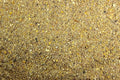 Chicken Feed, Whole Ingredient Chicken Treat, Wied Variety of Grains Poultry Feed (20 Pound (Pack of 1), Mash)