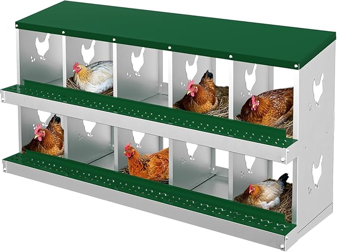 Chicken Nesting Box, Green 10 Hole Egg Laying Box, Suitable for Chickens & Ducks, Large Holes for Ventilation, Convenient for Picking up Eggs, Fully Galvanized