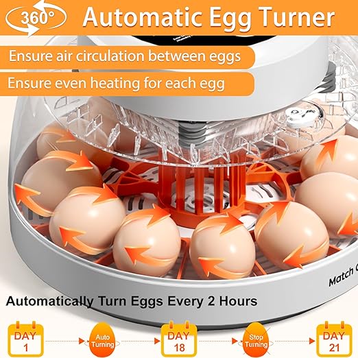 12 Egg Incubator for Hatching Eggs with Automatic Egg Turning, Temperature & Humidity Control Display, Built-in LED Egg Candler, External Water Adding System, Chicken Duck Quail Hatcher