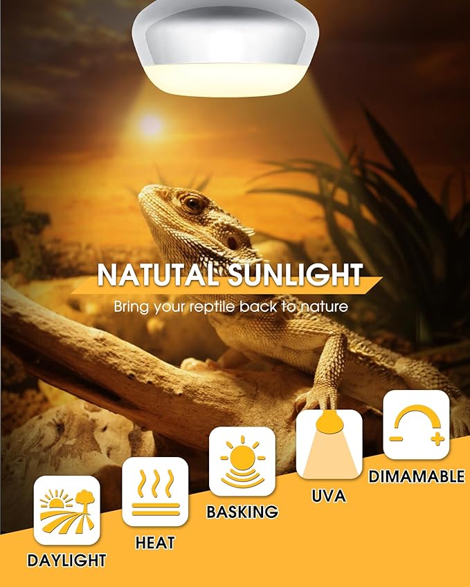 EvaStary Reptile Heat Bulb, 100W Simulated Natural Daylight Reptile Basking Spot Light Bulbs, UVA Reptile Heat Lamp Bulbs for Reptiles, Bearded Dragon, Lizard, Amphibian, Turtle, Snake, Chicken, 2Pack