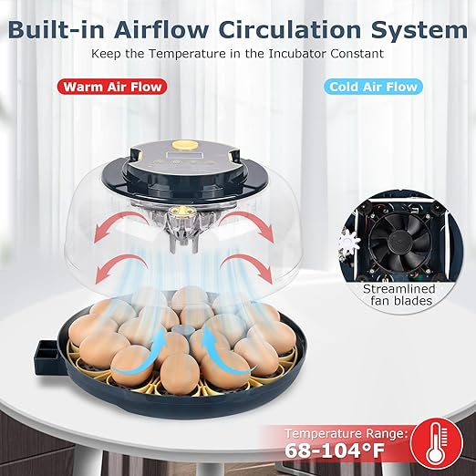 Incubators for Hatching Eggs, 18 Eggs Incubator with Egg Candler, Auto Egg Turner, Temp Control &Humidity Display, Hatch Day, Auto Water Refill, 2 Size Egg Tray, 360° Viewing for Chicken, Duck, Quail