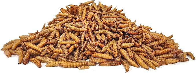 GRUBSFARM Black Soldier Fly Larvae-Chicken Treats 1LB-100% Natural Non-GMO Molting&Laying Supplement