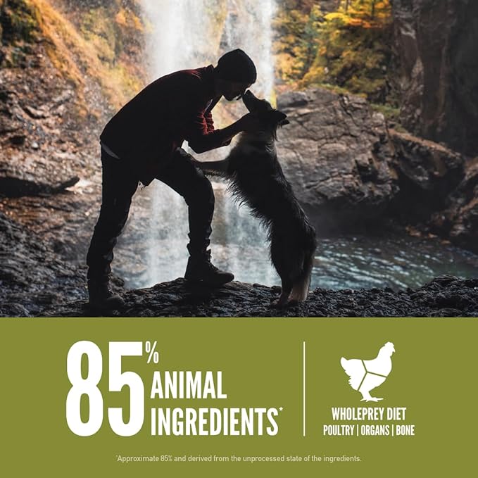 ORIJEN Grain Free High Protein Dry Dog Food Senior Recipe 23.5lb Bag