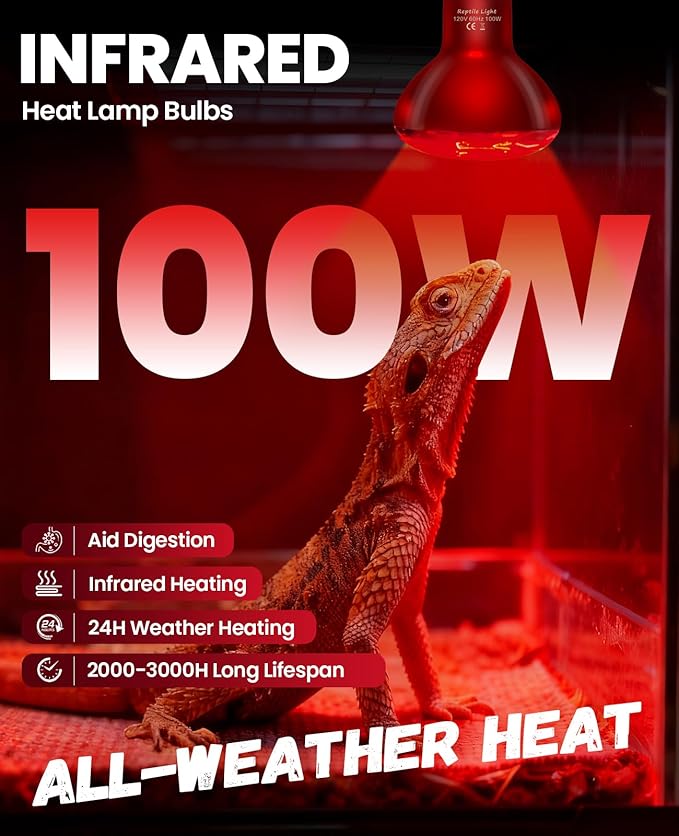 KINDEEP Infrared Heat Lamp Bulbs: 100W Reptile Heat Light 2 Pack - Red Basking Spot Light Bulbs Reptile Heating lamp for Lizard Bearded Dragon Turtle Snake Leopard Gecko Tortoise Chickens