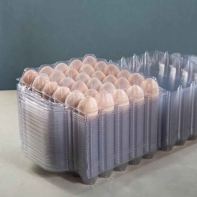 30 Piece Portable Transparent Egg Cartons Plastic Egg Container Specification 5×6 30 Piece Plastic egg Paper Box Suitable For Farm Egg Carton (5x6 30 portable bulk egg cartons, 30 pieces)