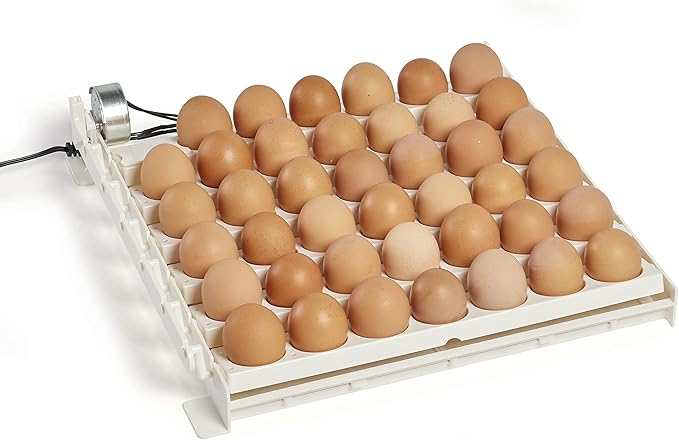 Farm Innovators 3200 Automatic 41 Spot Egg Turner for the Bottom of Incubators to Eliminate Manual Handling and Improve Hatching Rate, White (2 Pack)