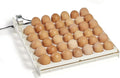 Farm Innovators Automatic Egg Turner, 41 Spot Chicken Egg Turning Tray with Thermometer for Improved Hatching Rate - Compatible with Select Incubators