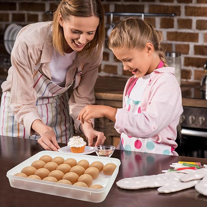 2 Pack Deviled Egg Trays,Stackable Plastic Egg Holder for 48 Eggs,Clear Egg Storage Containers for Fridge,Keep Fresh,Easter,Thanksgiving Day Party Kitchen Supplies