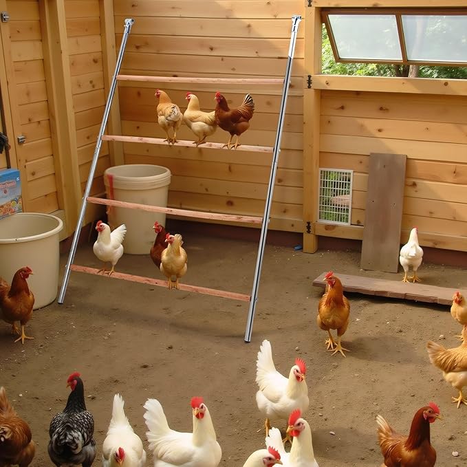 VINGLI Chicken Roosting Bars for Coop, Chicken Perches, Chicken Ladder Toys for Backyard Farms (41.3" L x 56.7" H)
