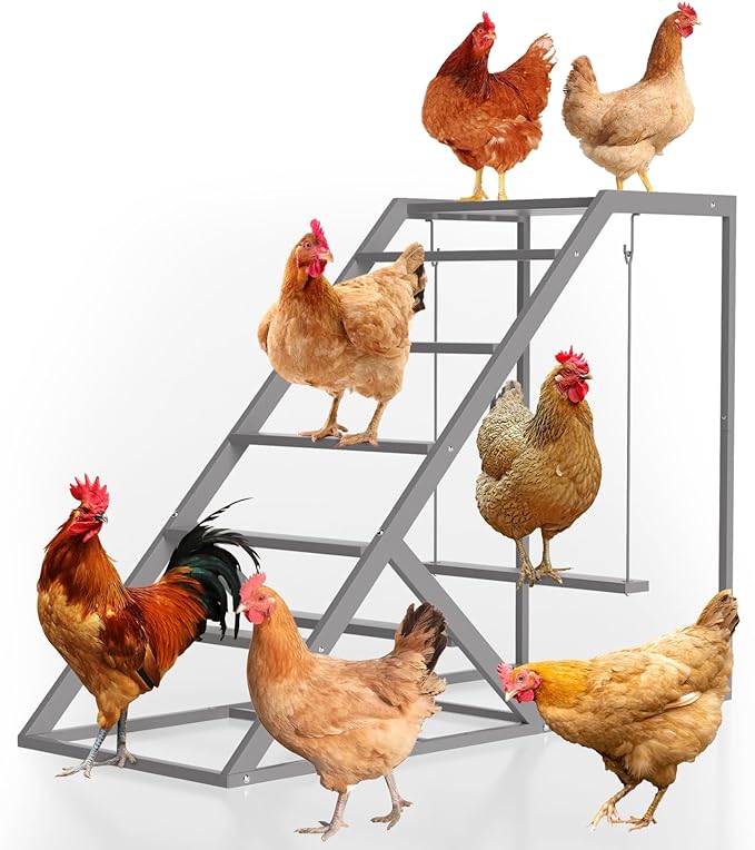 Chicken Perch for Coop with Ladder, Chicken Roosting Bars for Chickens in Coop with Swing Set Wooden Run Accessories Toy Chick Roost Activity Playground for Backyard Farm, Grey