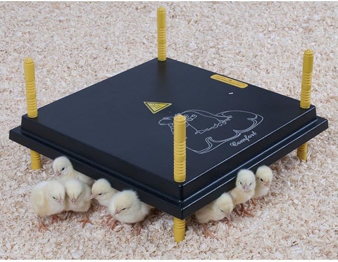 Premier 1 Chick Heating Plate Kit with Adjustable Legs | Includes Anti-Perch Cover | 16"x16" Plate Warms Up to 30 Chicks