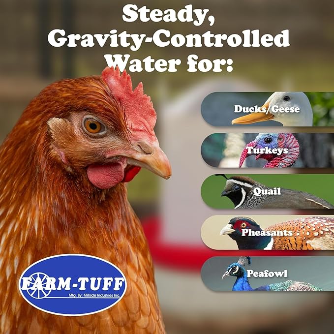 FARM-TUFF Plastic Easy Fill Poultry Waterer, 3 Gallon Capacity – Chicken and Game Bird Water Dispenser – Gravity-Fed Plastic Water Fountain for Hens, Ducks, Turkeys, and Backyard Flocks