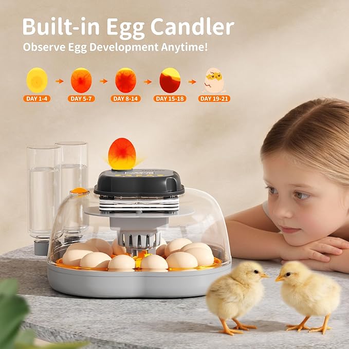 Chicken & Quail Egg Incubator, Dual Egg Trays, Automatic Egg Turning with Auto Stop, Humidity Control, Adjustable Incubation Day & Period, Automatic Water Refill, Egg Candler, Air Vent, Clear View