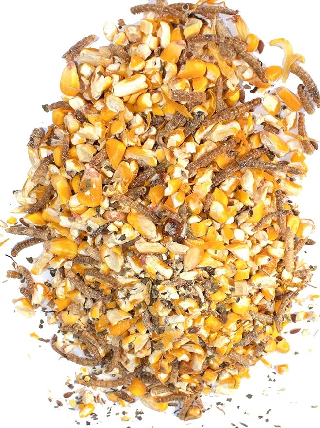 Pampered Chicken Mama Mealworm, Corn, Flax, & Herb Treat for Backyard Chickens, Healthy Layer Feed & Supplies for Pet Chickens Poultry Queen Treat for Hens (3 pounds)
