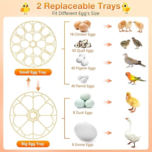 18 Egg Incubator with Automatic Egg Turning and Humidity Control, Eggs Incubators for Hatching Eggs Chicken Quail Ducks Goose Parrot for Home Classroom Lab Farm