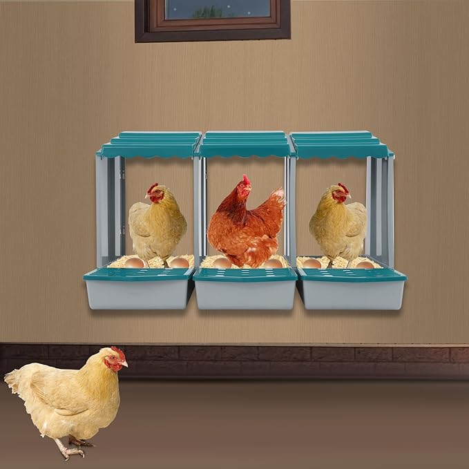 Chicken Nesting Box, 3 Compartments PP Nesting Box, Wall Mountable Nesting Boxes with Inclined Top, Drain Holes & Resting Platform for Chicken and Poultry to Collect Eggs