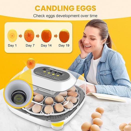 Sailnovo Incubator for 24 Eggs, 4 Modes Egg Incubator with Automatic Egg Turning, Temperature Control and Humidity Alarm - 360°View with Clear Window Incubators for Hatching Chicks(Grey)