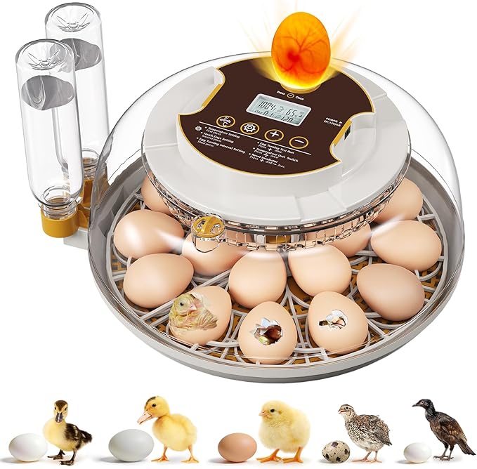 18 Egg Incubator with Automatic Egg Turning & Humidity Control, Built-in Egg Candler, 360° View Window & Dual-Size Trays for Chicken, Duck, Quail, Goose Eggs – Ideal for Farm, Classroom, Home