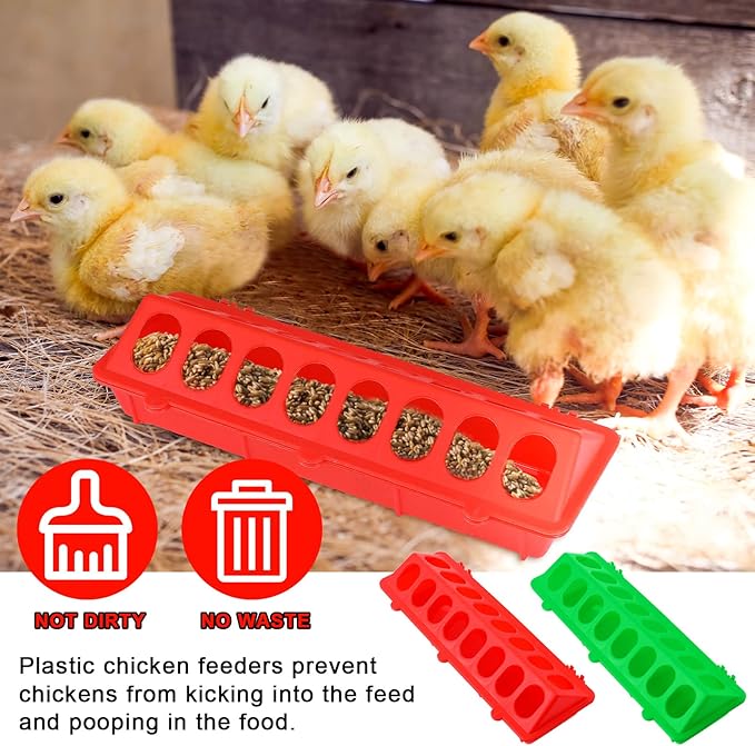4 Plastic Flip Top Bird Small Poultry Feeder for Pigeon Chicken Small Poultry Feeder Duckling Quail Drinker No Mess No Waste Multihole Birds Feeding Dish Dispenser(Red, Green)