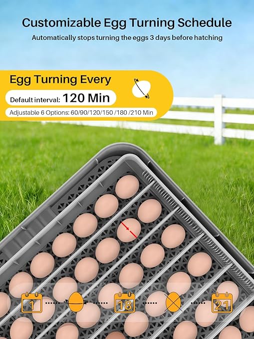 48 Incubators for Hatching Eggs, Eggs Incubator with Egg Candler, Automatic Turner, Temperature and Humidity Control, Incubator for Chicken, Duck, Quail Eggs, Ideal for Farm, School and Lab
