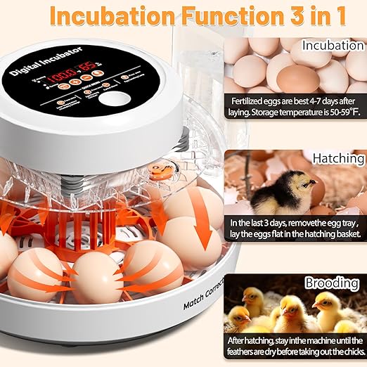 12 Egg Incubator for Hatching Eggs with Automatic Egg Turning, Temperature & Humidity Control Display, Built-in LED Egg Candler, External Water Adding System, Chicken Duck Quail Hatcher