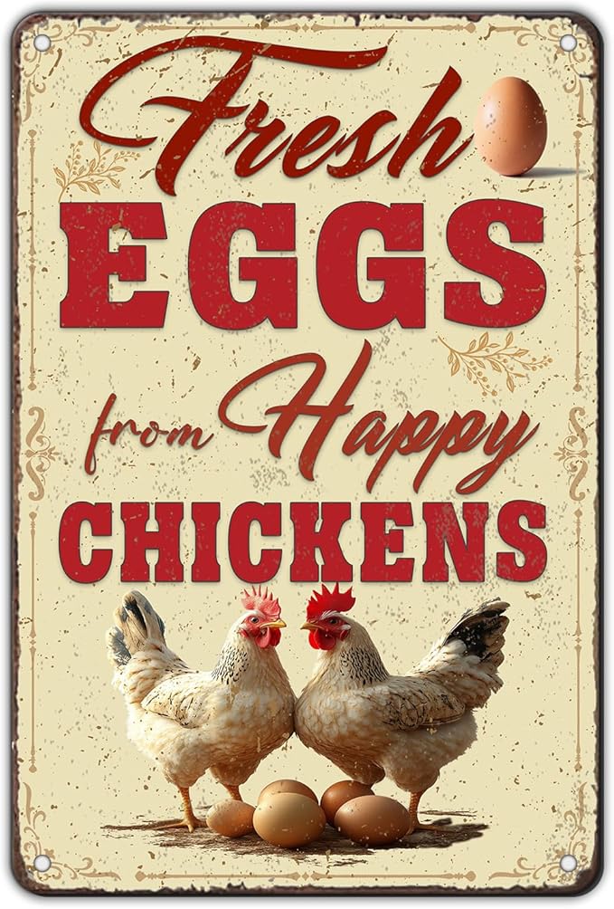 Funny Chicken Signs Farmhouse Chicken Coop Fresh Eggs Aluminium Sign Metal Chicken Signs Decor Home Ktichen Farm Are Wall 12x8 Inch Vintage Chicken Signs For Coop Metal Tin Signs Poster