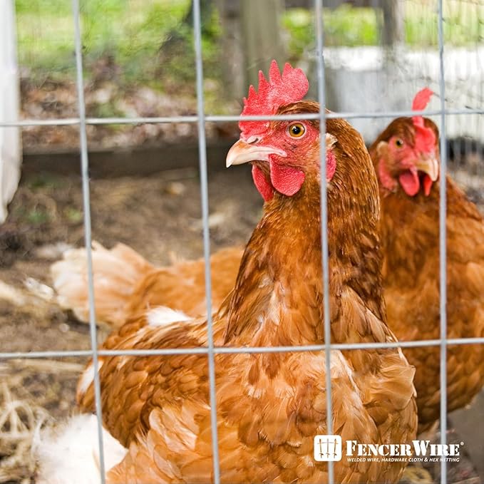Fencer Wire Welded Wire Fence 12.5 Gauge, Galvanized Welded Fence Wire Roll, Mesh Size 2-Inch x 4-Inch, Hog Wire Fencing Cage, Multiple Use for Home Improvement & Animals Enclosure (4ft. x 100ft.)