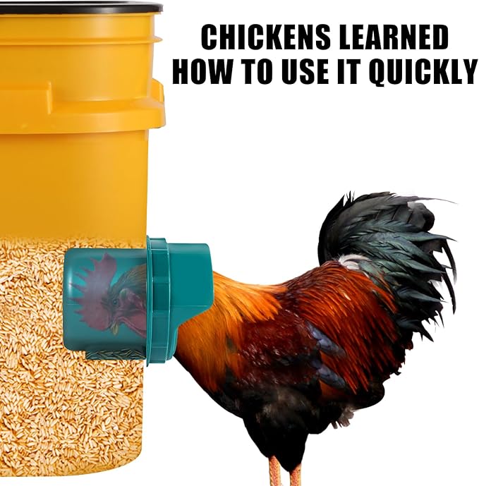 Chicken Feeder No Waste, 4 Ports Automatic Poultry Feeder with Covers & Hole Saw, Rain Proof Chicken Feeder Port for Buckets, Bins & Barrels