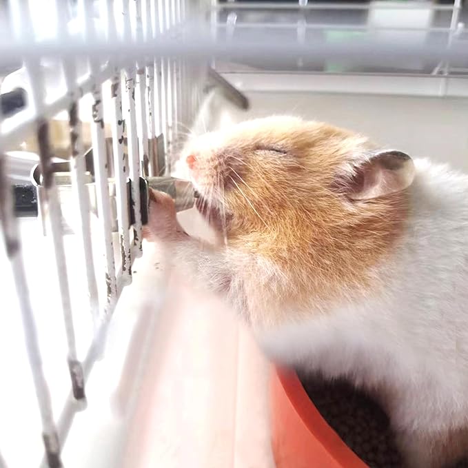 8pcs Stainless Steel Rabbit Watering Nipples Metal with Cage Clips Rabbit Water Nipples Dispenser Hamster Waterer Automatic Watering System