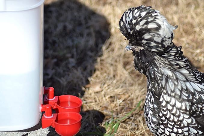 RentACoop DIY Waterer Kit - Auto-Fill Cups with Inserts - Great for Chickens, Ducks, Geese, Turkeys, Peafowl, and Quail - 2 Pack + 1 Bonus Cup Included (Red, Pack of 2)