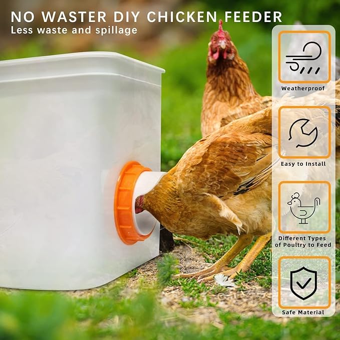 Chicken Feeder Port, 6 Pack Chicken Feeders No Waste with 6 Lids 1 Drill Bit, DIY Automatic Poultry Feeder Cups Kit, Chicken Bucket Feeder for Barrels ((Orange)