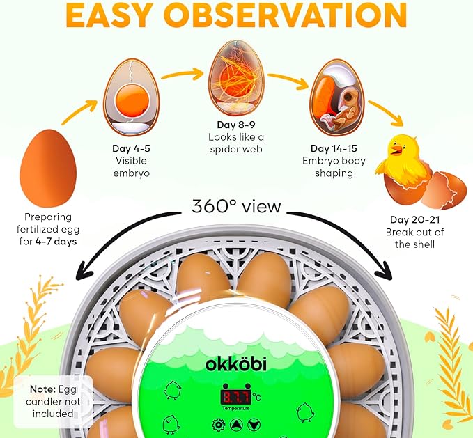 Okkobi M12 Egg Incubator with Automatic Turner and Humidity Control - 12/24 Eggs, 360° View, Easy to Use and Clean - Incubadora de Huevos de Gallina - Made for US - White & Green