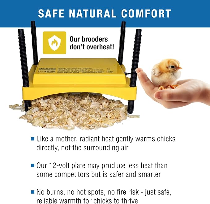 Brinsea Ecoglow Safety 600 Chick or Duckling Brooder, Adjustable Height & Angle Brooder Plate, Ideal for Chicken Coops Poultry Heating with Safety Indicator, 12 Watts