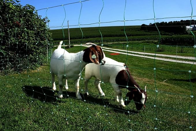 Starkline All-Purpose Sheep and Goat Netting AC Electric Fence Kit - 35" H x 82'L Electric Fence for Goats, Sheep, Gardens, Beehives, Dogs, and More in Backyards, Homesteads, Farms, Ranches