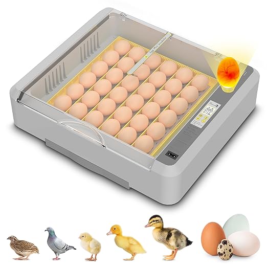 36-60 Egg Incubator with Automatic Egg Turning and Humidity Control, Adjustable Chicken Egg Incubator with Digital Display, for Hatching Eggs Include Chicken Duck Quail Eggs(Yellow)