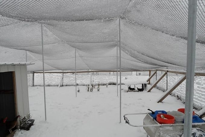 Poultry Netting 1" or 2" Mesh Heavy Knotted Nets Aviary Gamefowl Quail Chicken Bird Block Net Long Lasting Break/Burst 85/245 lb Polyethylene 8-10 Year Lifespan (50' X 100', 1)