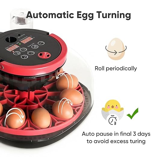 Incubators for Hatching Eggs, 12 Egg Smart Incubator with 1080P Camera & App Control, One-Click Incubation for Chicken Quail Duck, Auto Egg Turner, External Water Refill, Egg Candler