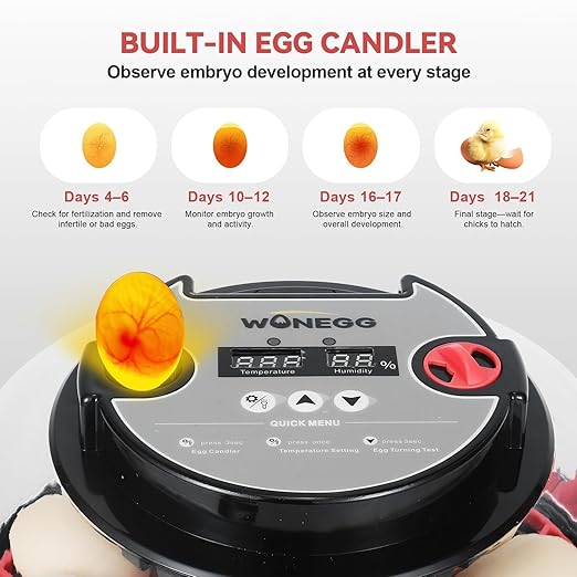 2nd Gen - 12 Egg Automatic Incubator, Two-Stage Humidity with Auto-Refill & Stable Temp Control, Auto Egg Turning, Candler, Real-Time Display for Hatching Chicken, Goose, Duck, Quail, Pigeon