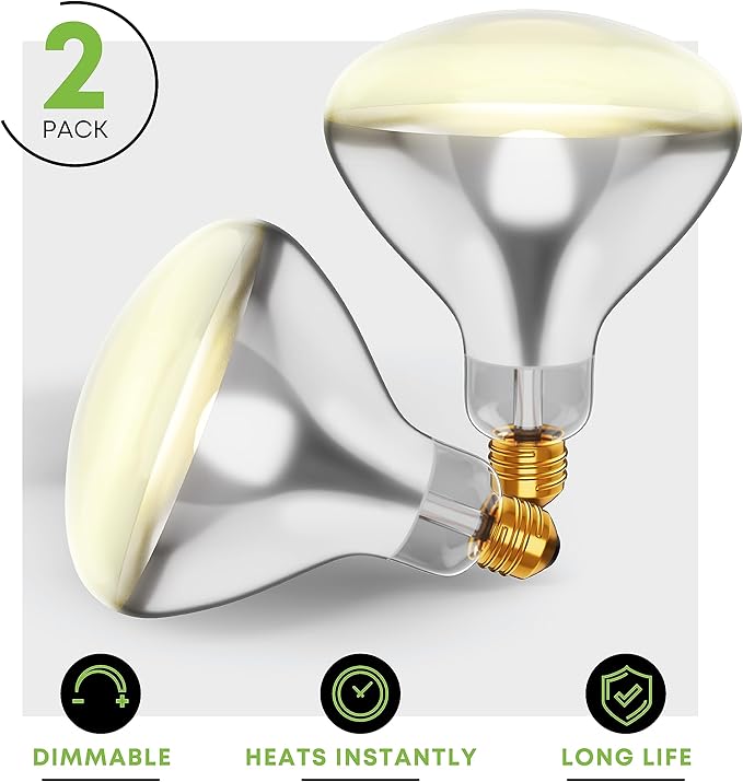 250R40/1 250-Watt, Incandescent R40 Reflector, Clear Head Lamp, Heat Flood Lamp Light Bulb, E26 Standard Medium Screw Base, 120V, 6,000 Hour Rated (Pack of 2-Clear-Heat Lamps)