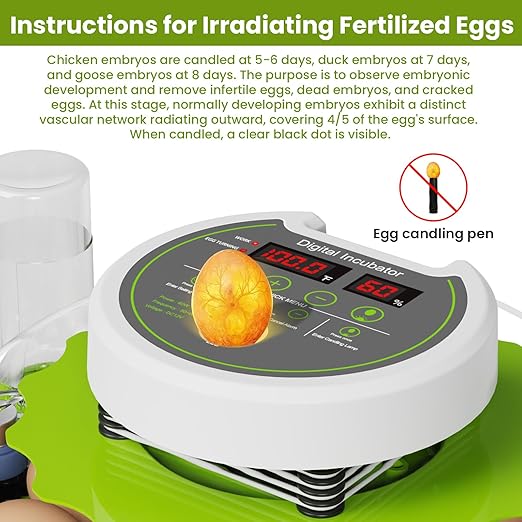 18-Egg Incubator with Automatic Egg Turning & Humidity Control, HD Panoramic View, Built-in Candler for Hatching Chicken, Duck, Quail Eggs Farms, Science Labs, Classroom, Home Use