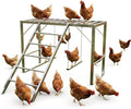 38.98in Metal Chicken Roosting Bars with Swing and Ladder, Heavy Duty Roosting Bars for Chicken Perch, Exercise Equipment for 8-10 Chickens Health & Happiness in Backyard Farms, Silver