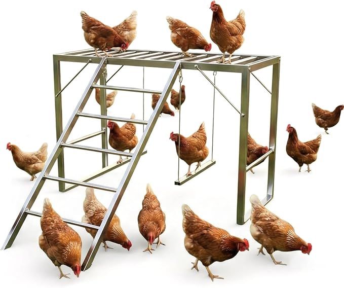 38.98in Metal Chicken Roosting Bars with Swing and Ladder, Heavy Duty Roosting Bars for Chicken Perch, Exercise Equipment for 8-10 Chickens Health & Happiness in Backyard Farms, Silver