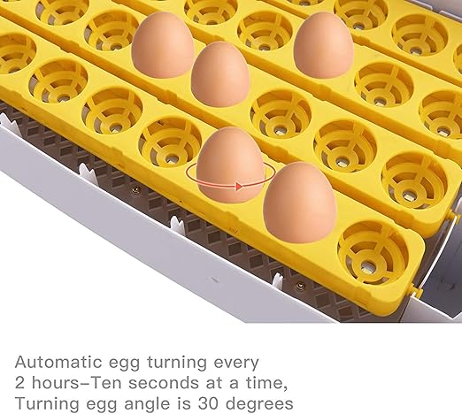 Egg Incubator with Auto Turner & Humidity Control – High Hatch Rate Poultry Hatcher for Chicken Duck Quail, 360° View & Stable Temp System, Ideal for Farm & Home Breeding (55 Egg)