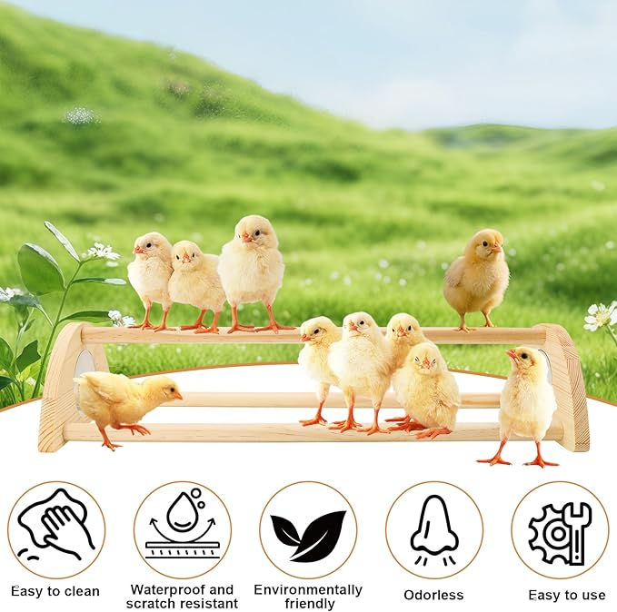 Chicken Perch with Mirror Roosting Bar for Baby Chicks Chick Jungle Gym Roosting Bar Strong Wooden Baby Chick Perches