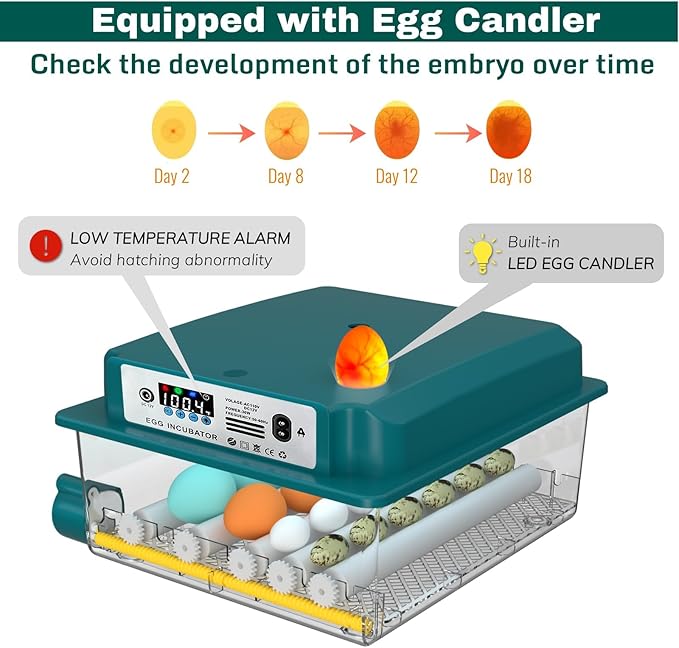Egg Incubator, Egg Incubator with Automatic Egg Turning and Automatic Water Addition, 12-16 Eggs Incubator with Egg Candler, Incubator for Chicken Eggs Duck Eggs Quail Eggs