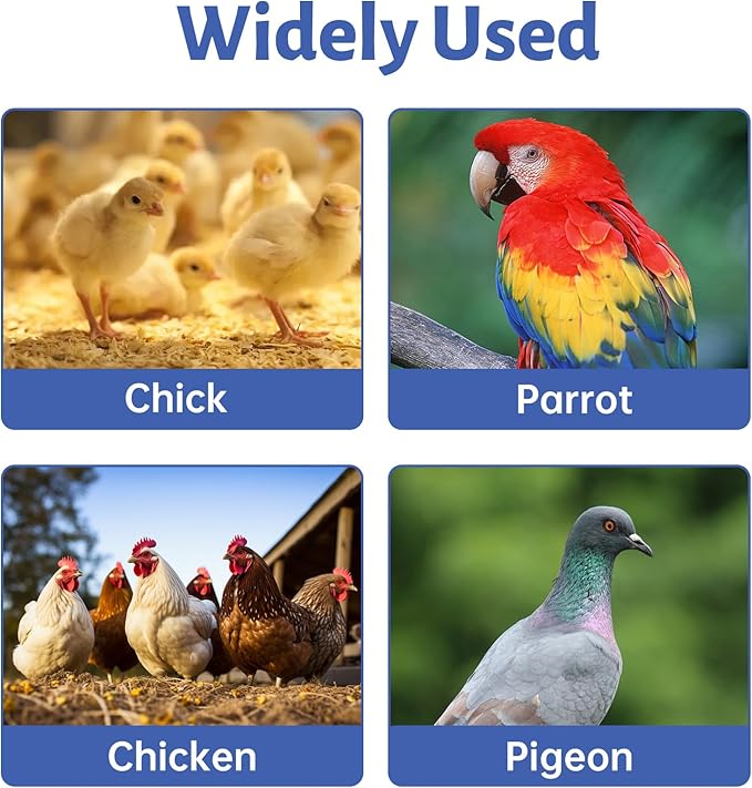 Strong Wooden Chick Roosting Bar with Large Hole, Chicken Coop Toys and Accessories, Chicken Perch Stand for Small Poultry Bird Parrot Indoor Outdoor
