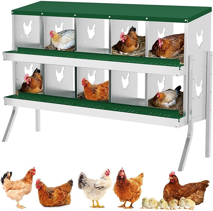 10-Compartment Metal Chicken Nesting Box - with Perch, Secure Lid & Metal Legs, Wall-Mount or Free-Standing Nesting Boxes for Hens