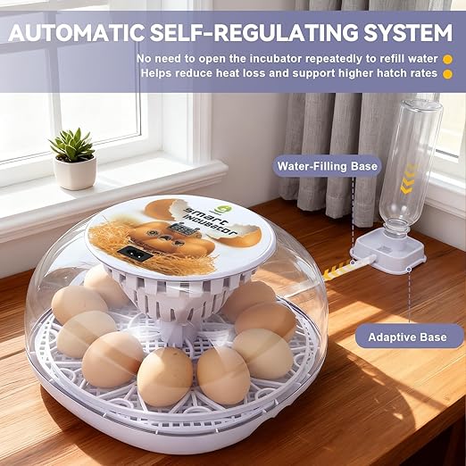 1st Gen - 12 Egg Automatic Incubator, Steady Humidity with Auto-Refill, Stable Temp Control, Auto Egg Turning, Candler, Real-Time Display for Hatching Chicken, Goose, Duck, Quail, Pigeon, and Turkey